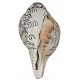 Eight Auspisious White Metal Conch Shell(SANKHA), powerful ancient healing (therapeutic) instrument, Hand work, White Metal Color - Large Size (29.5*35.5 cm, 11.6*13.9 inch)