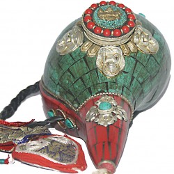 Conch Shell, powerful ancient healing (therapeutic) instrument, Hand work, Turquoise stone, Single Buddha, Green Color - Large Size (36.1*30 cm, 14.2*11.8 inch)