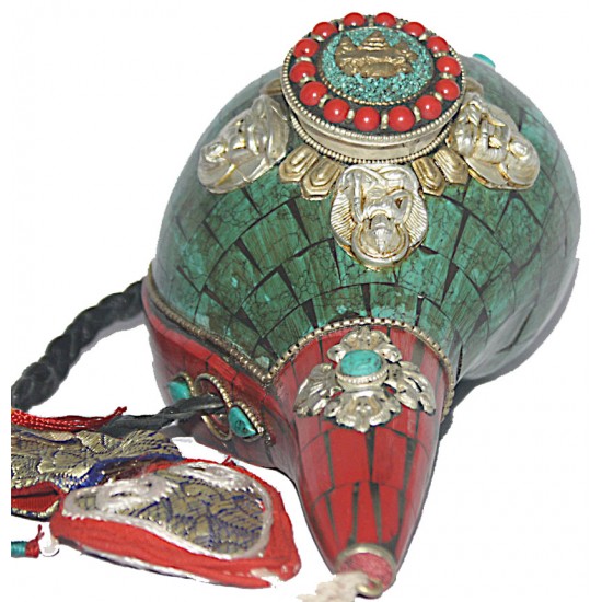 Conch Shell, powerful ancient healing (therapeutic) instrument, Hand work, Turquoise stone, Single Buddha, Green Color - Large Size (36.1*30 cm, 14.2*11.8 inch)