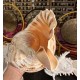 Plain Conch Shell,  powerful ancient healing (therapeutic) instrument,     Trumpet Shell Charonia Tritonis, Orange and White  Color - Extra Large Size