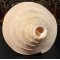 Plain Conch Shell,  powerful ancient healing (therapeutic) instrument,     Trumpet Shell Sirynx Aruanus, Cream Color - Extra Large Size
