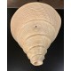 Plain Conch Shell,  powerful ancient healing (therapeutic) instrument,     Trumpet Shell Sirynx Aruanus, Cream Color - Extra Large Size