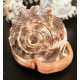 Plain Conch Shell,  powerful ancient healing (therapeutic) instrument,     Trumpet Shell Cassis Rufa, Orange Color - Medium Size