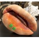 Plain Conch Shell,  powerful ancient healing (therapeutic) instrument,     Trumpet Shell Cassis Rufa, Orange Color - Medium Size